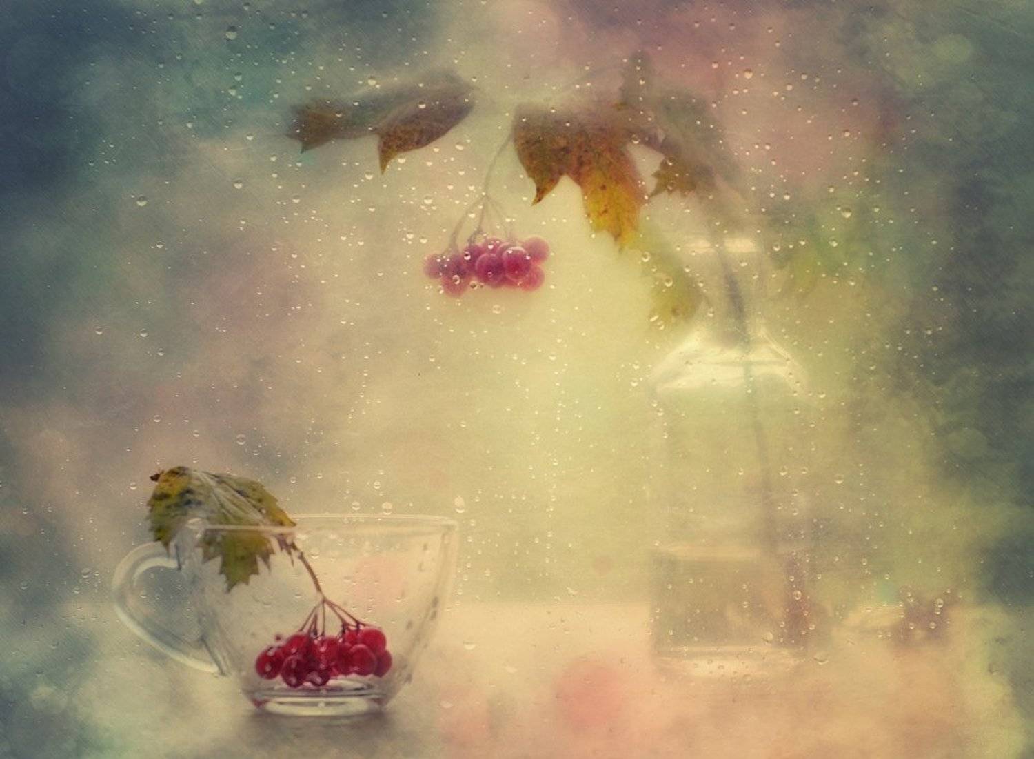 натюрморт,калина,капли, Наталия К