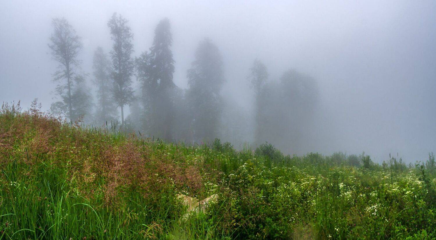 , Игорь Мелекесцев