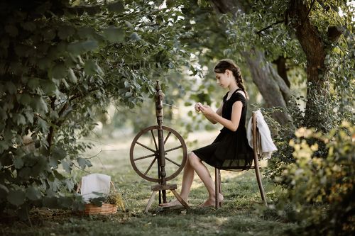 Girl at a Spinning Wheel