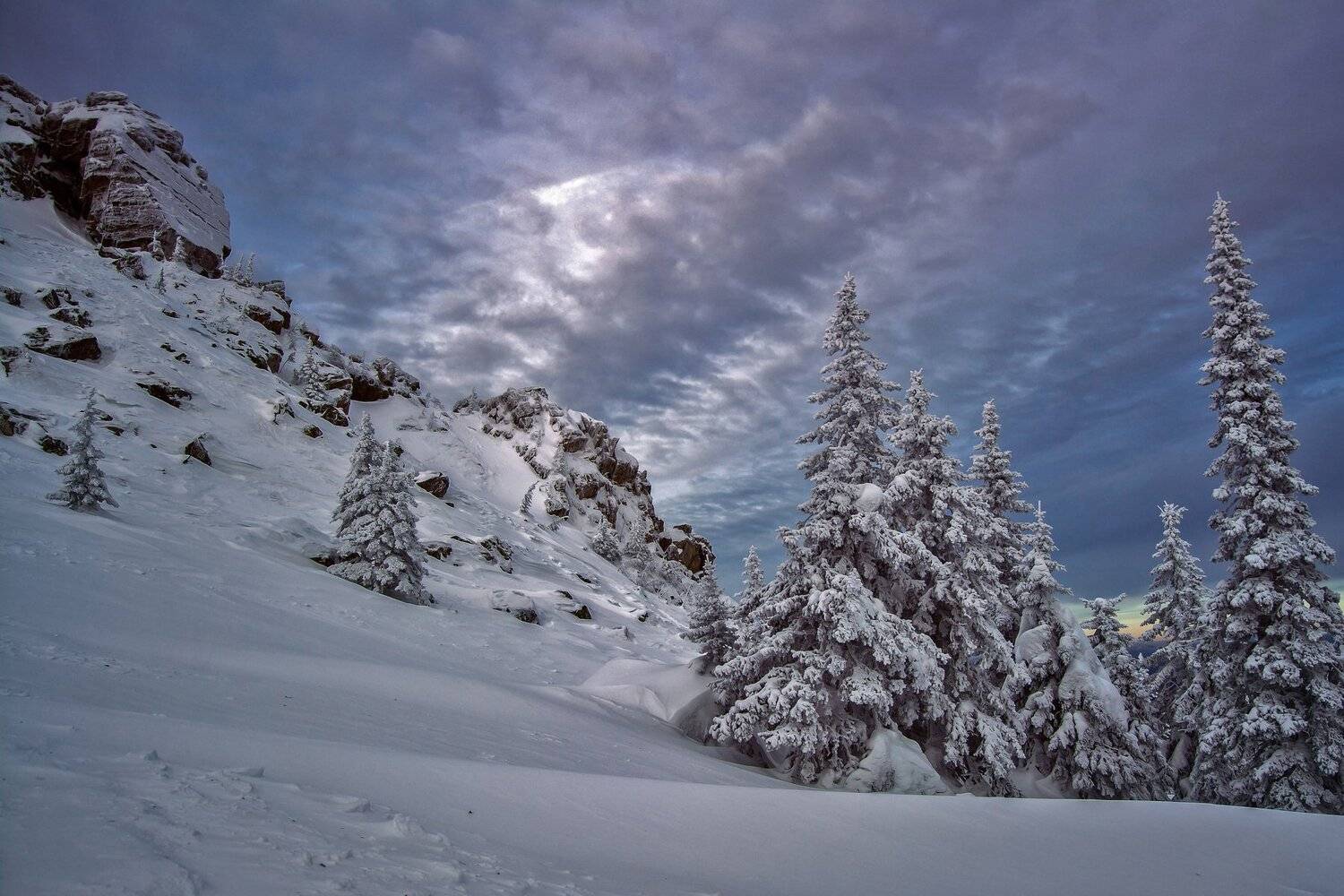 , Андрей Шарапов