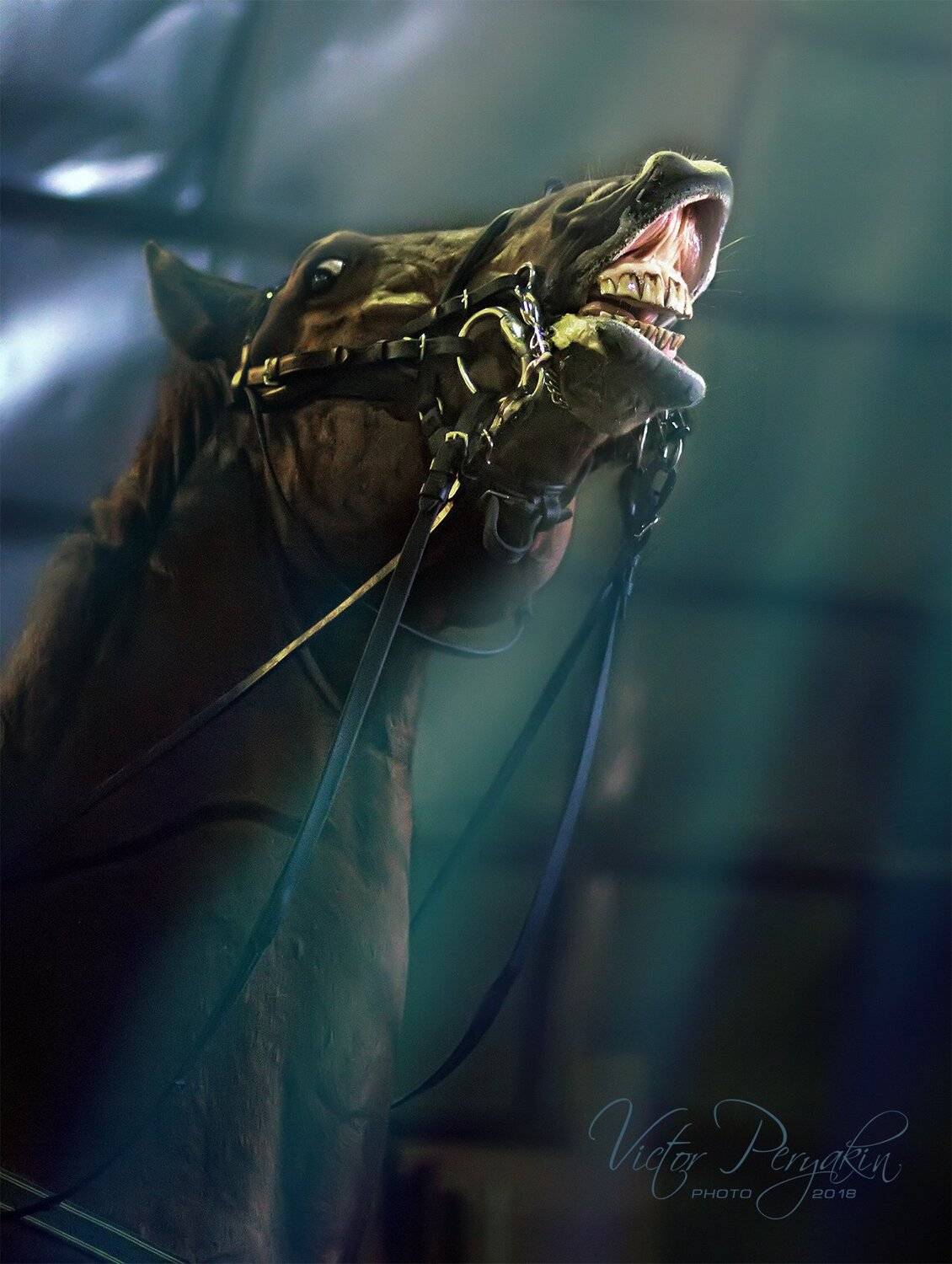 , Виктор Перякин