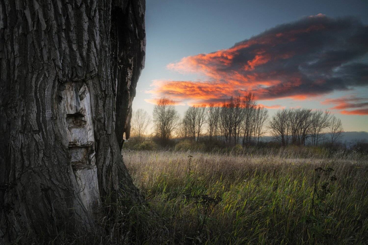 , Смольский Евгений