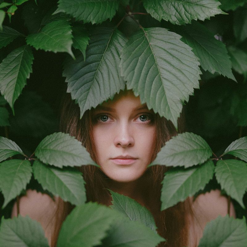 фото превью