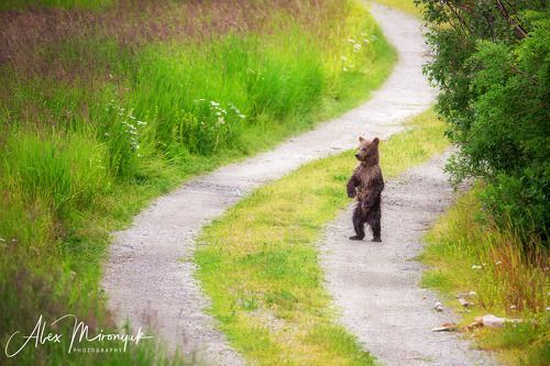 Мама, ты где?