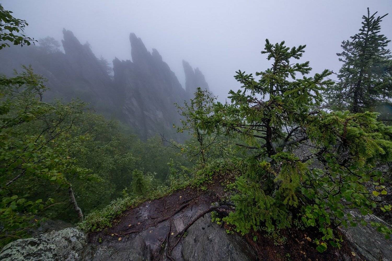 , Станислав Аристов