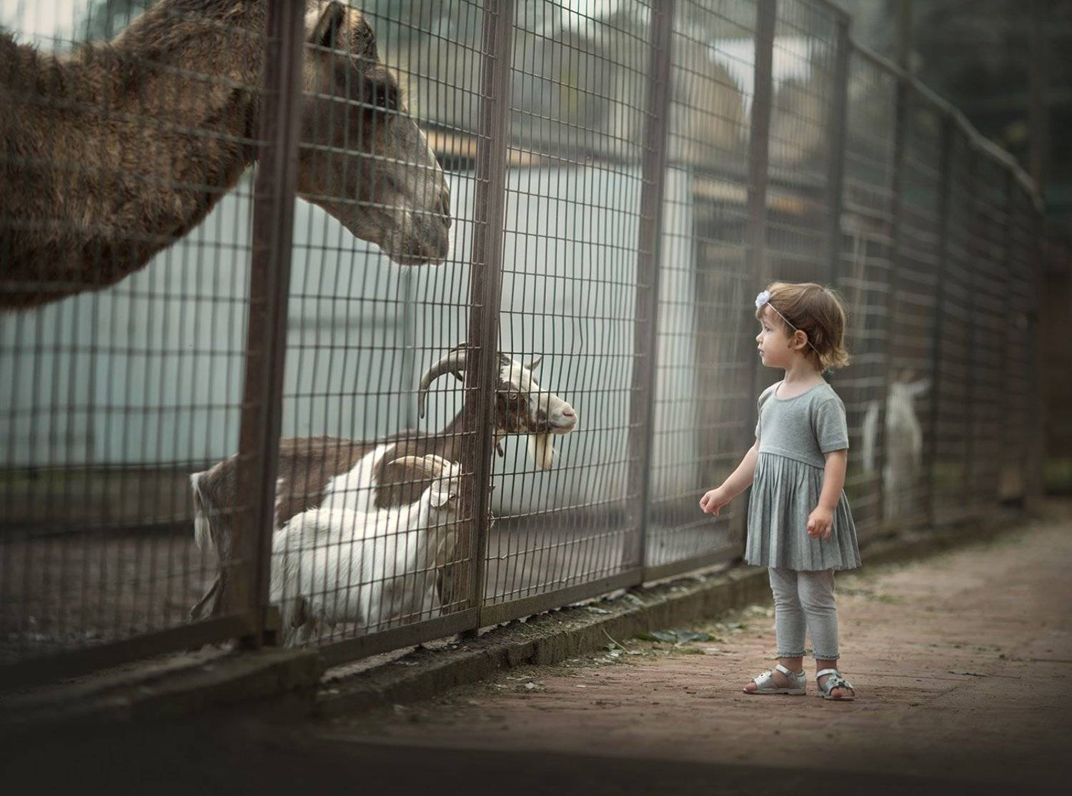 , Анастасия Крылова