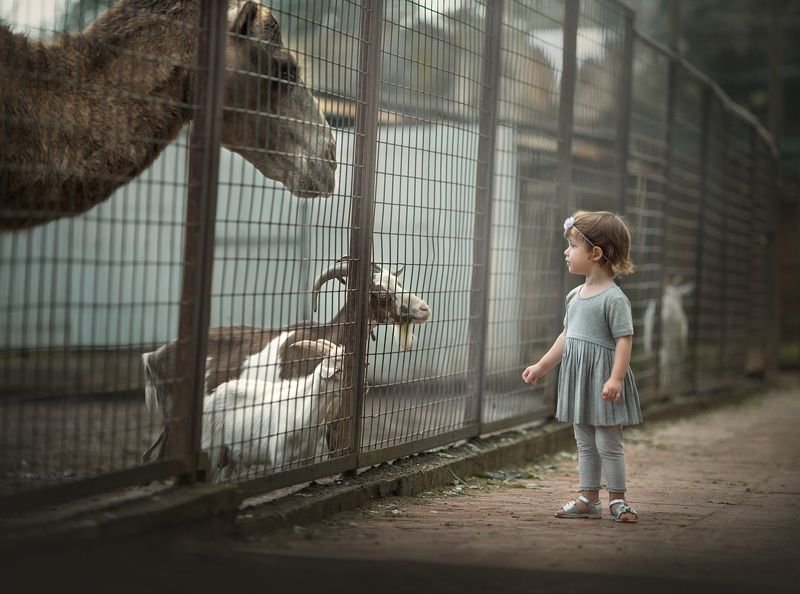 ... фото превью