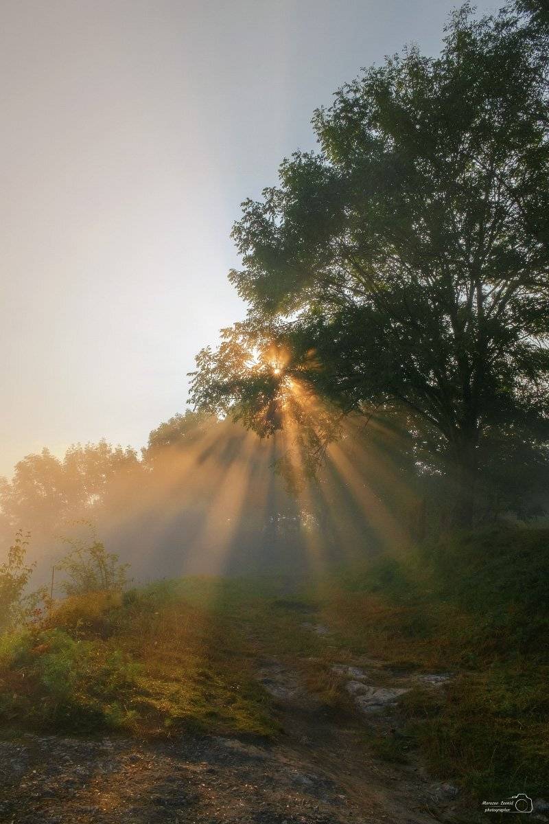 карпаты., украина., зима., пейзаж., снег., карпатский., гора., красивый., небо., природа., дерево., холод., мороз., путешествия., белый., сезон., ель., лес., фон., снежный., горы., зимний., утро., отдых., солнце., лед., изморозь., иней., сцена., синий., с, Леонид Морозов