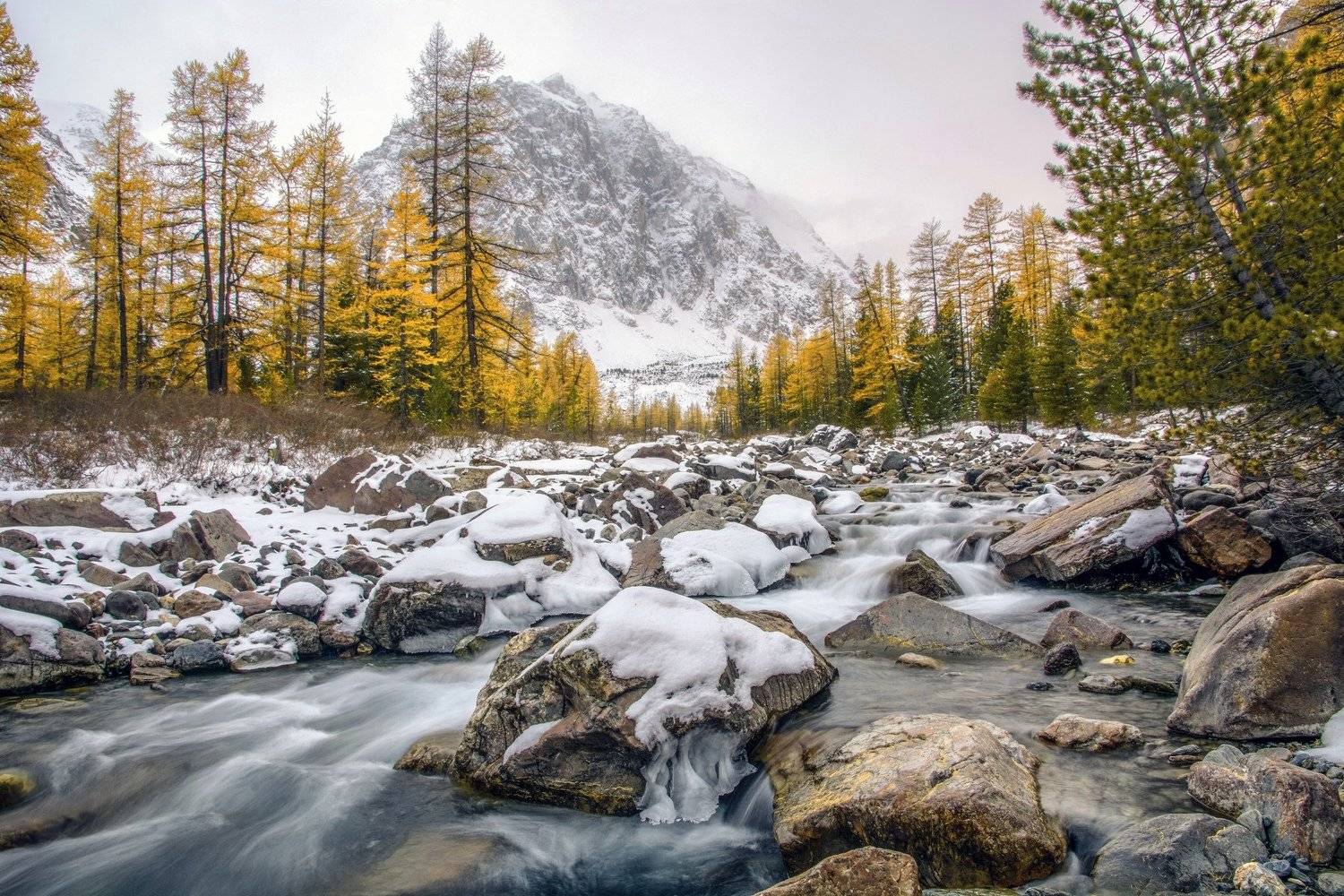 алтай,осень, Алексей Кретов