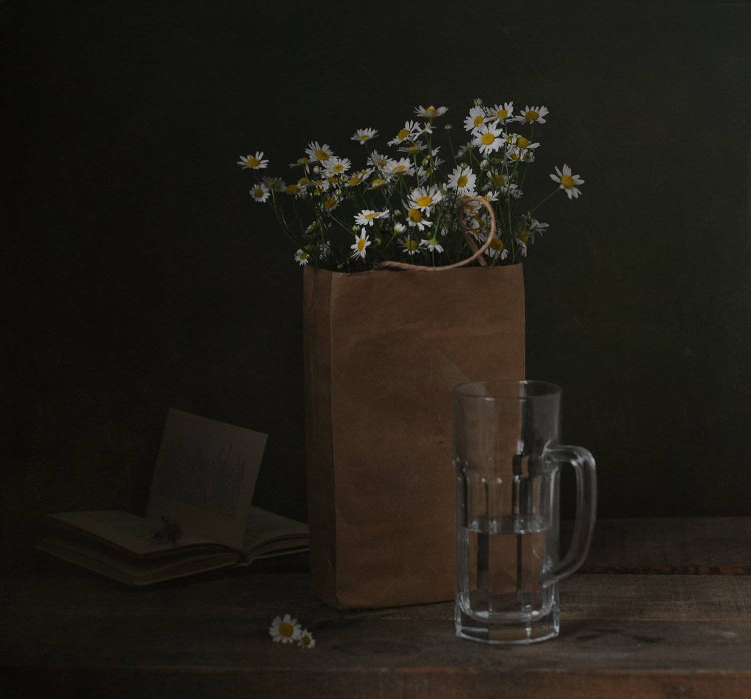 , Рудая Галина