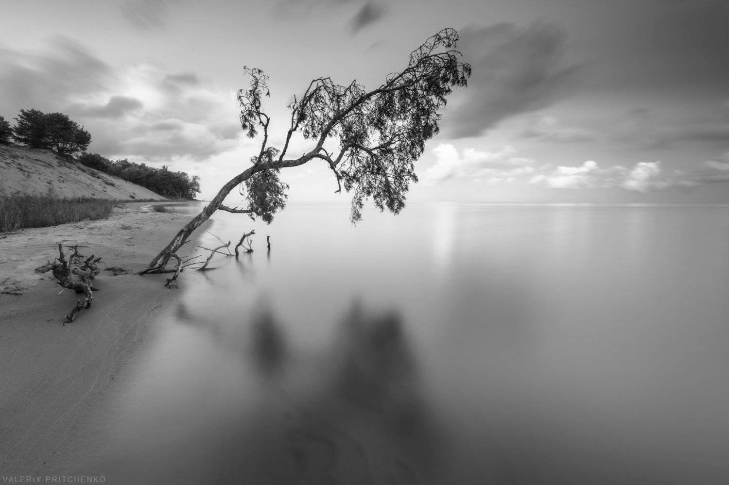 , Валерий Притченко