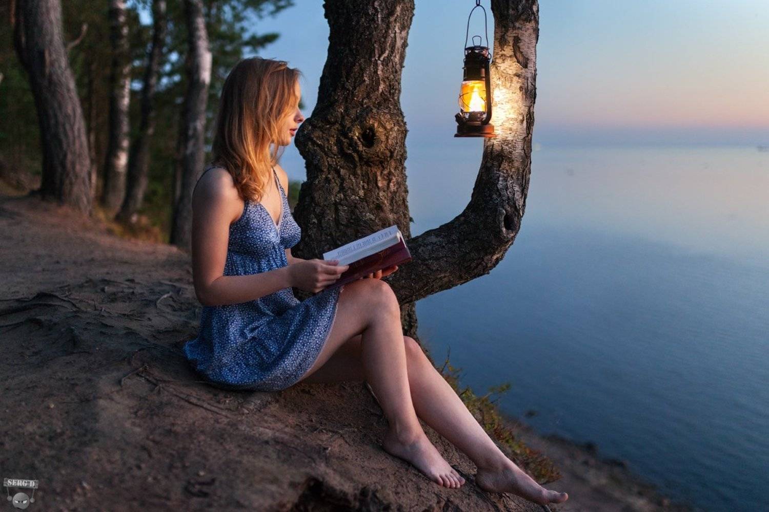 , Сергей Дегтярёв