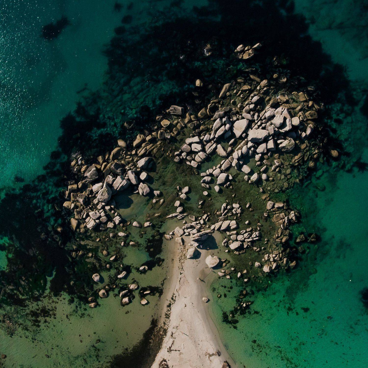 приморье, триозерье, море, камни, дерево, Антон Блохин