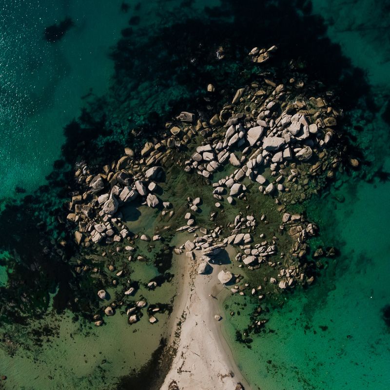 приморье, триозерье, море, камни, дерево Дерево лета фото превью