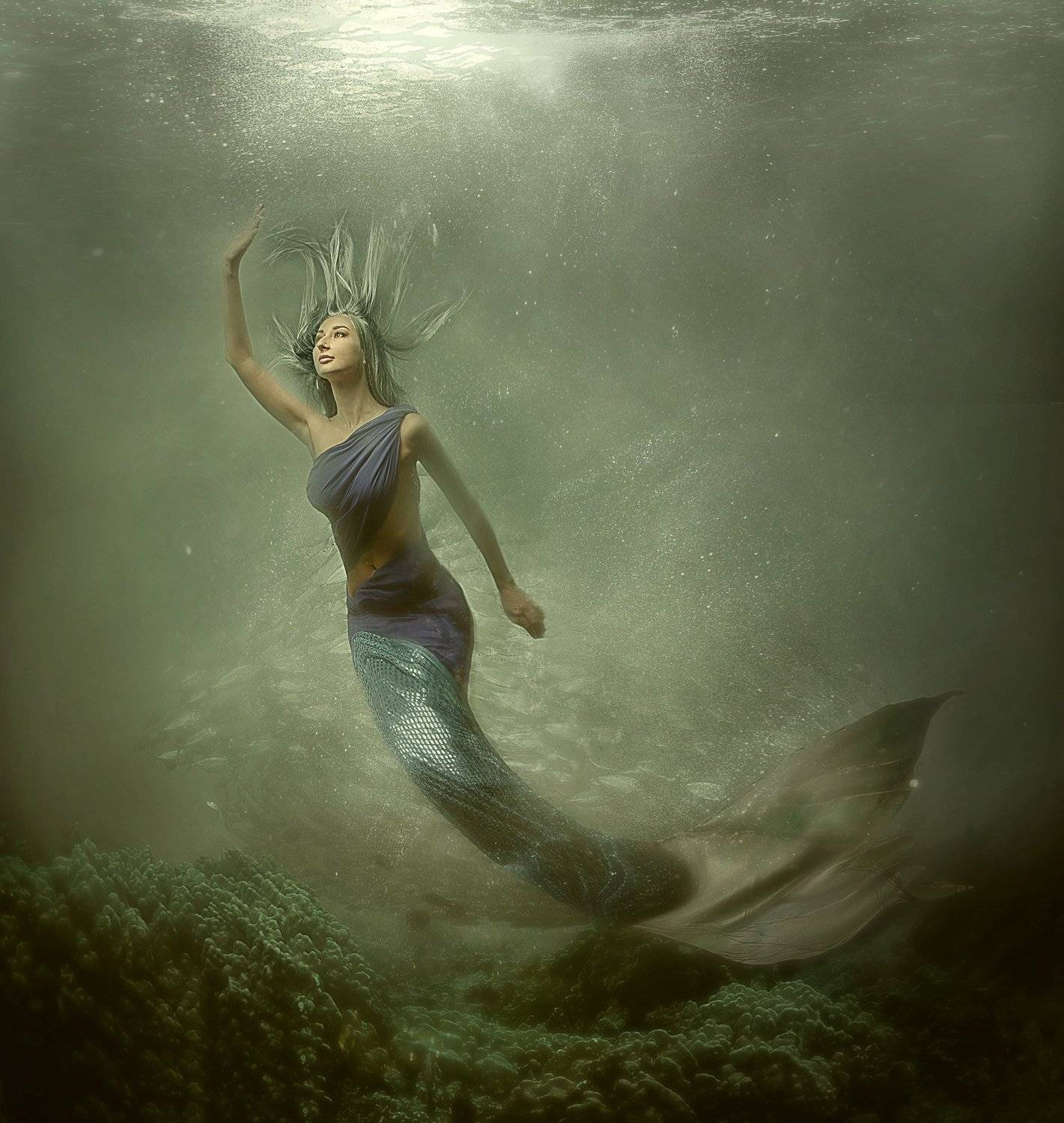 , Волков Денис