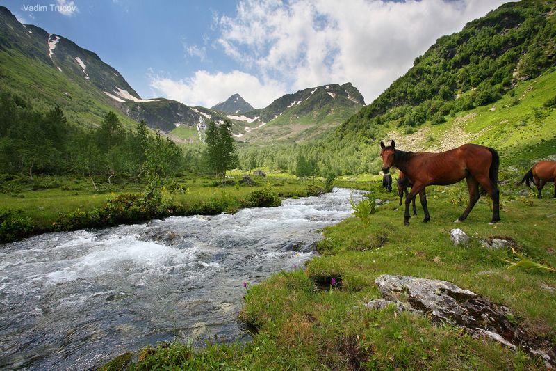 *** фото превью