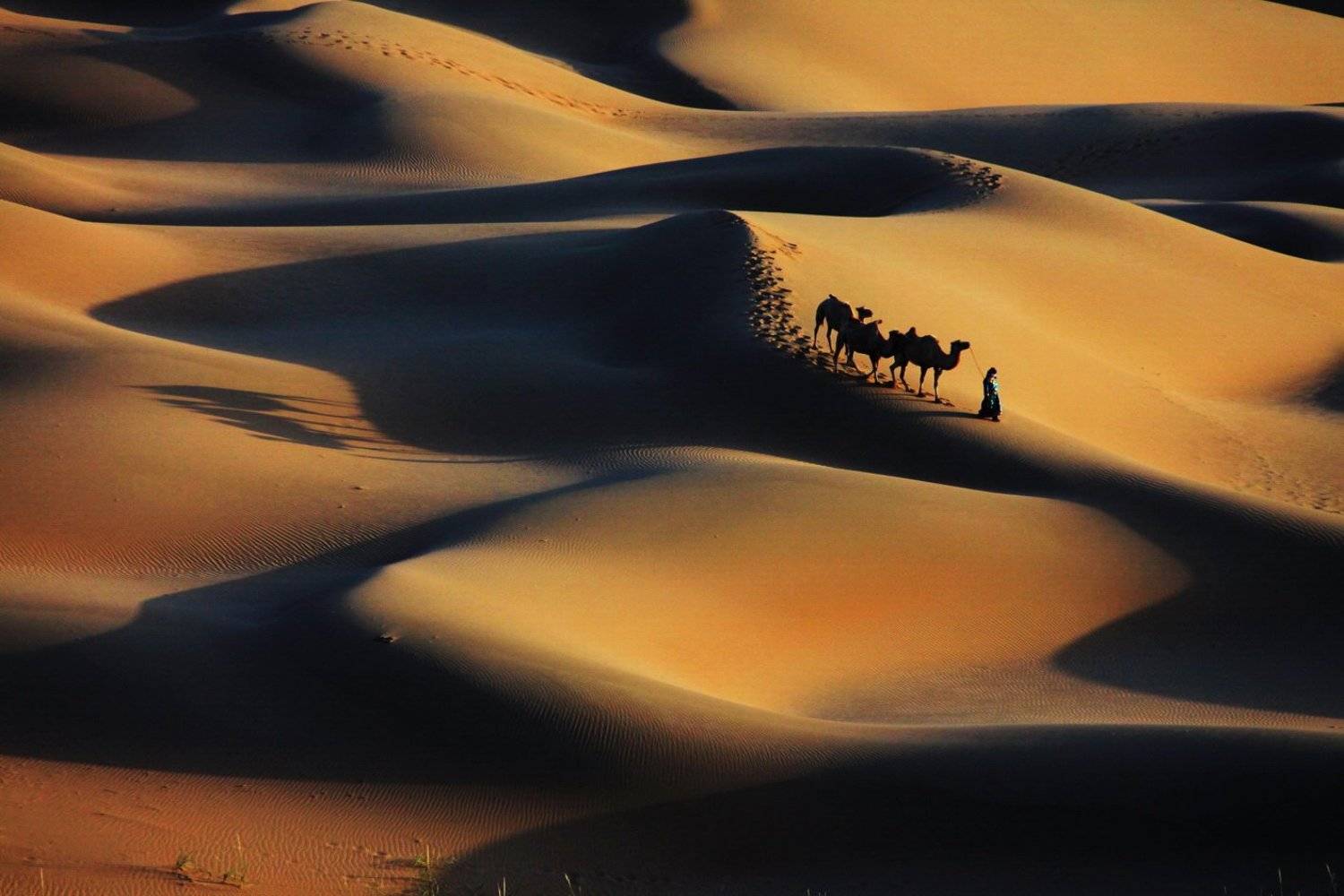 , Inkol Yu  유인걸