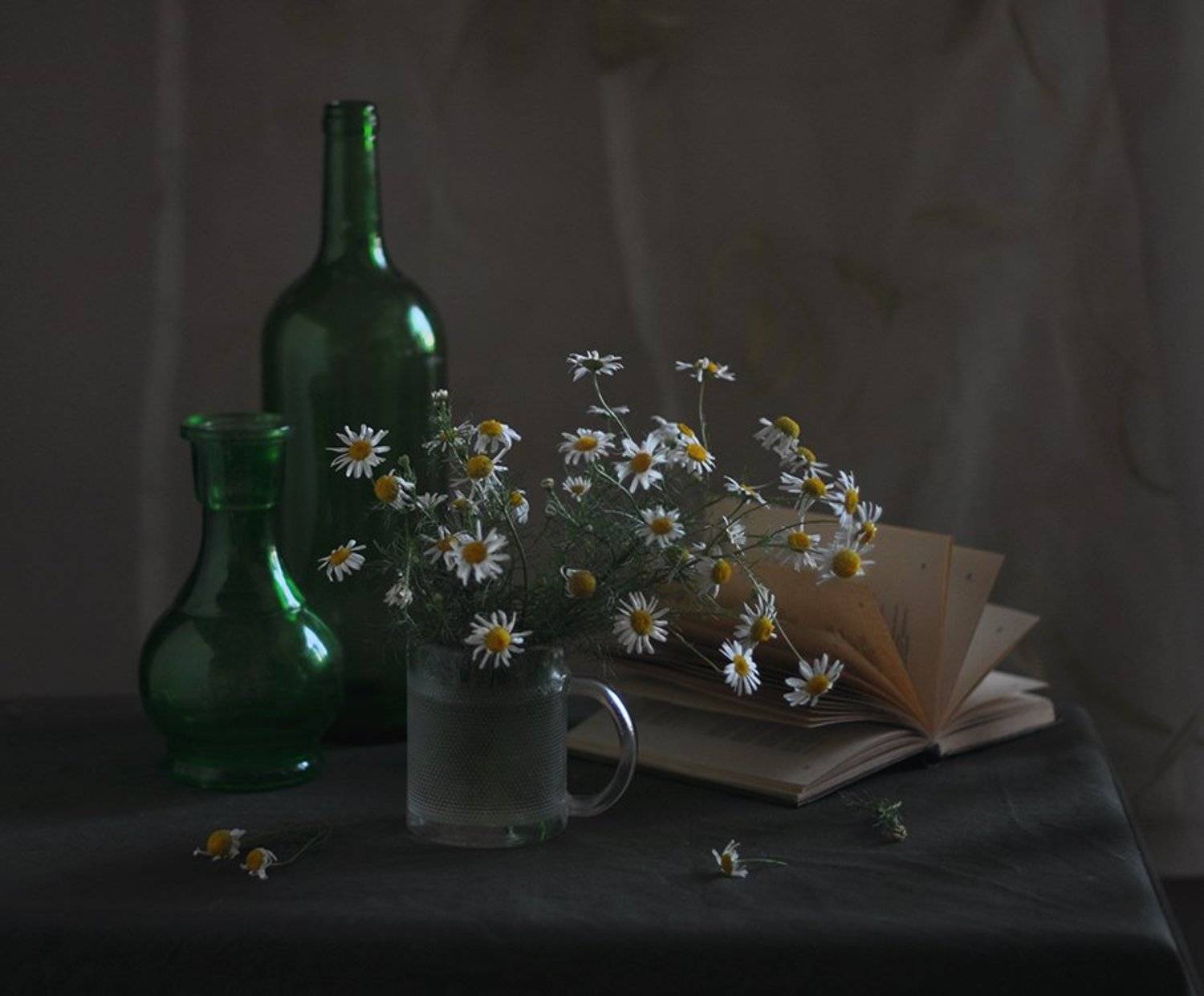 , Рудая Галина