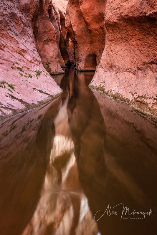 сша, аризона, юта, каньон, абстракция, путешествие Отражения в каньоне фото превью