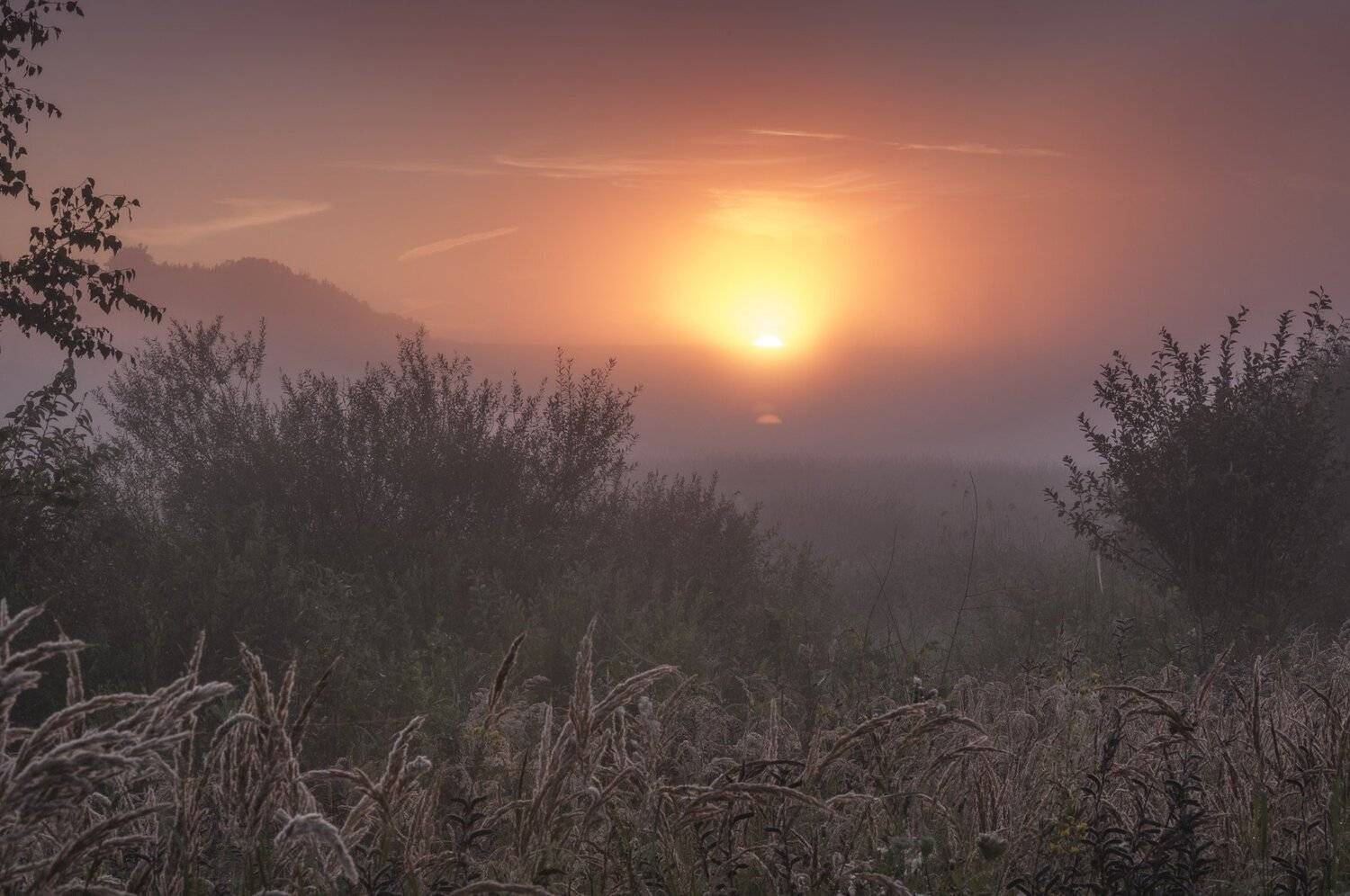 , Павел Ныриков