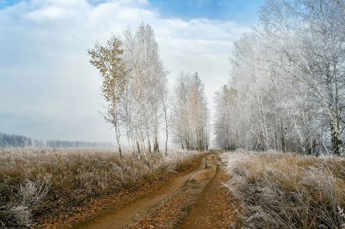 Дорога с сединою на висках...
