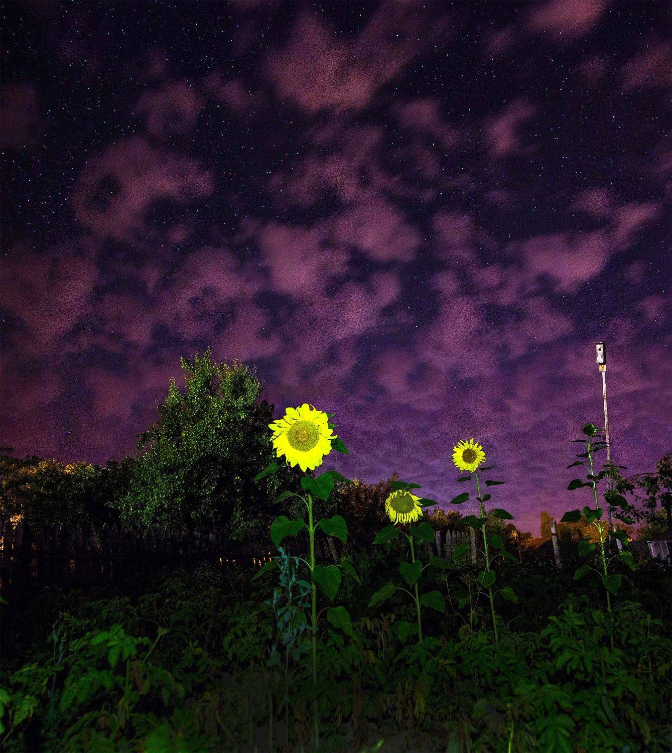 , Воробьёв Евгений