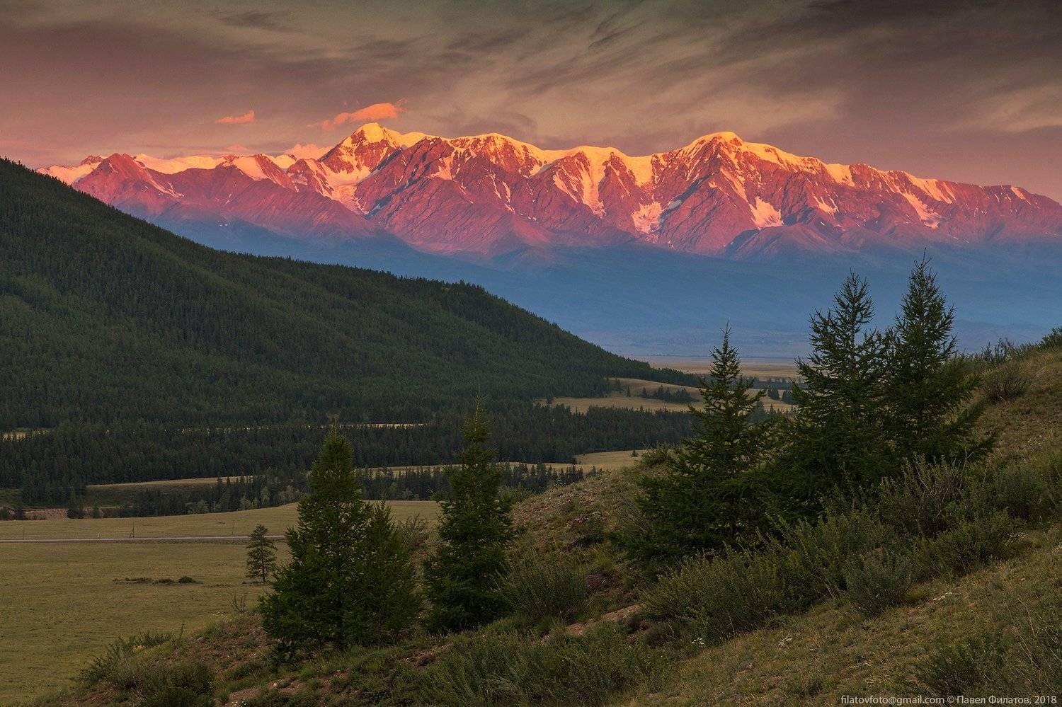 алтай, курай, северо-чуйский хребет, рассвет, степь, горы, сибирь, Павел Филатов