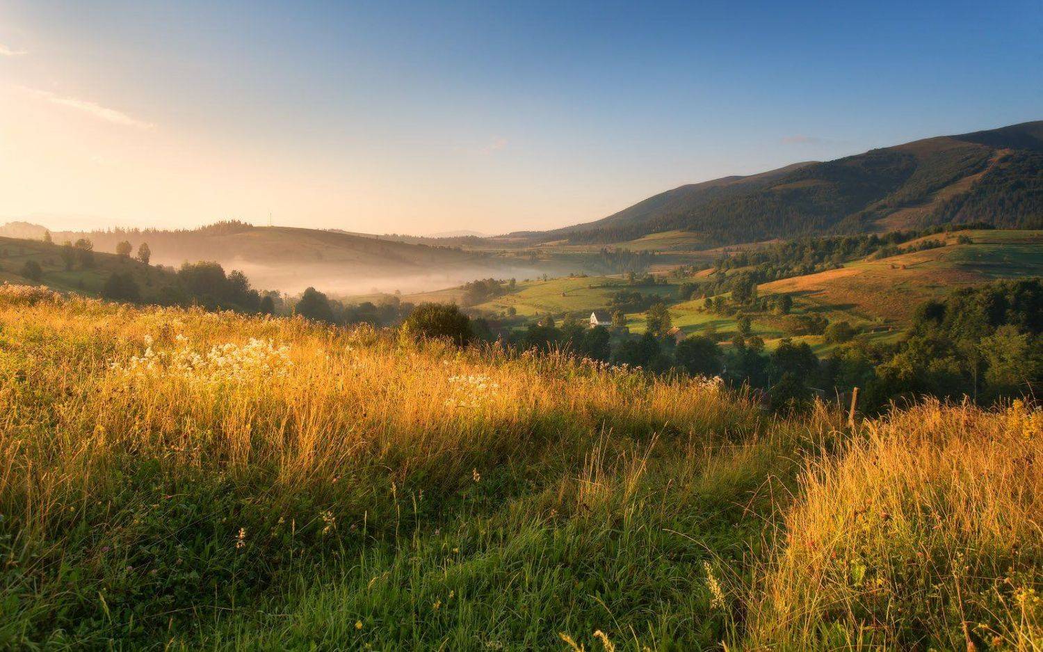 август, горы, карпаты, лето, рассвет, туман, утро, Вейзе Максим