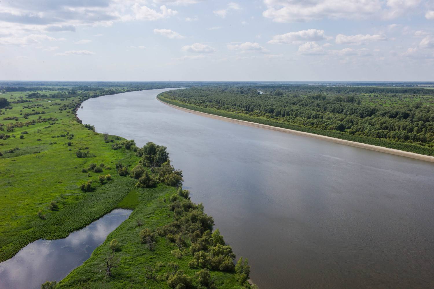 , Михаил Дронов