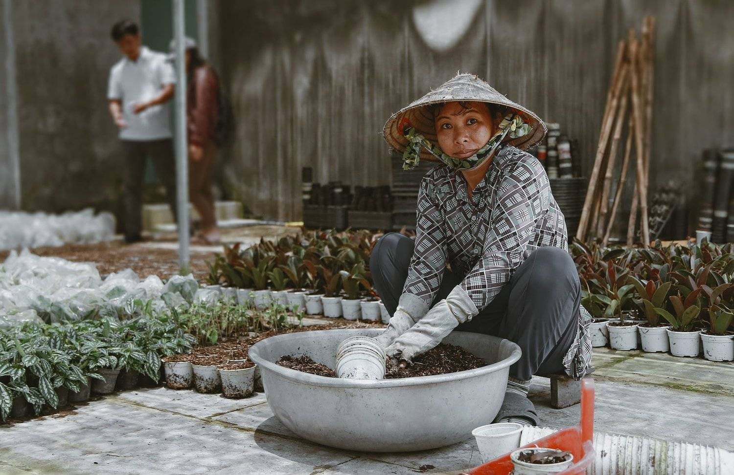 gardener, Vietnamese, portrait, canon, 6d, Gansukh .S