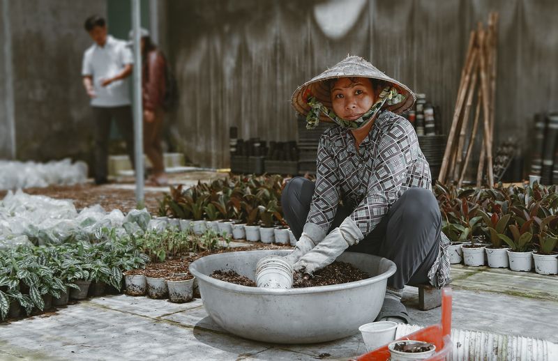 gardener, Vietnamese, portrait, canon, 6d gardener фото превью