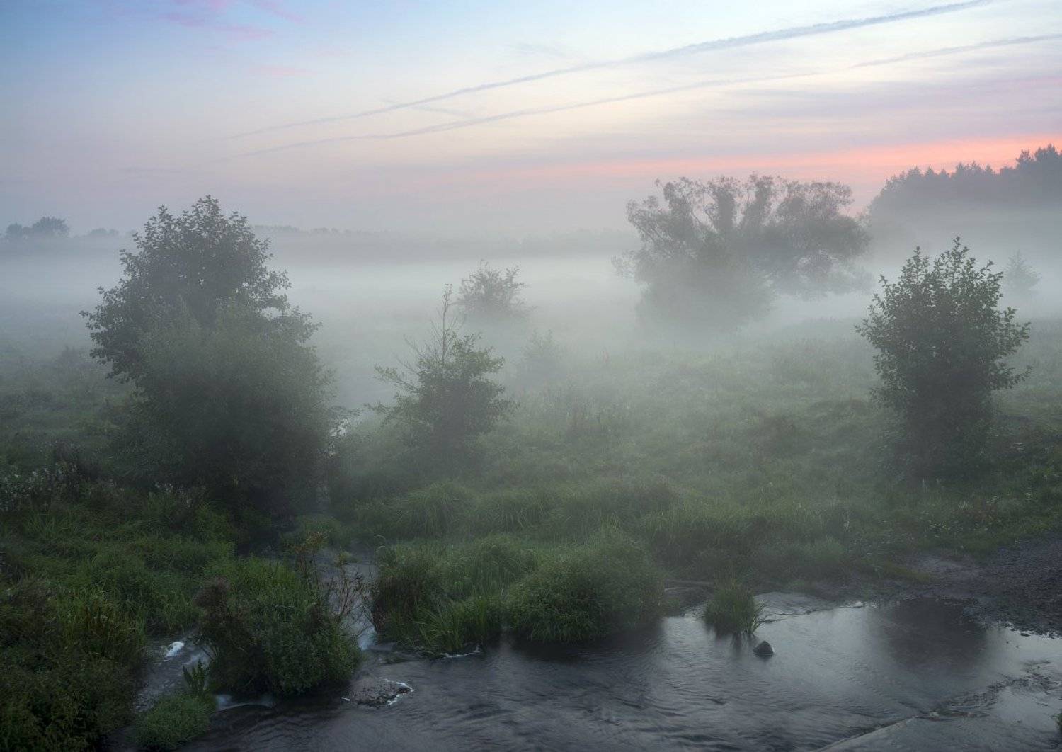 , Сергей Добровольский