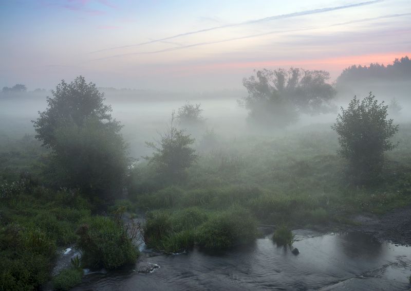 1 сентября фото превью