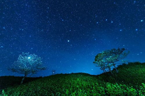 Двое во вселенной