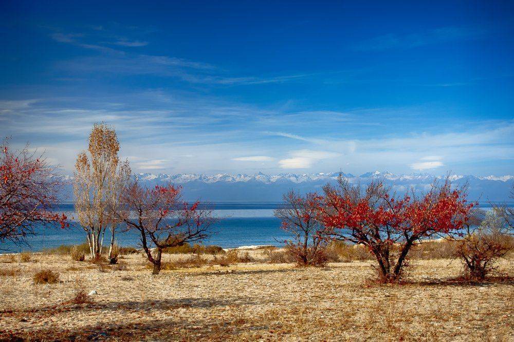 кыргызстан, иссык-куль, Элина Магалимова