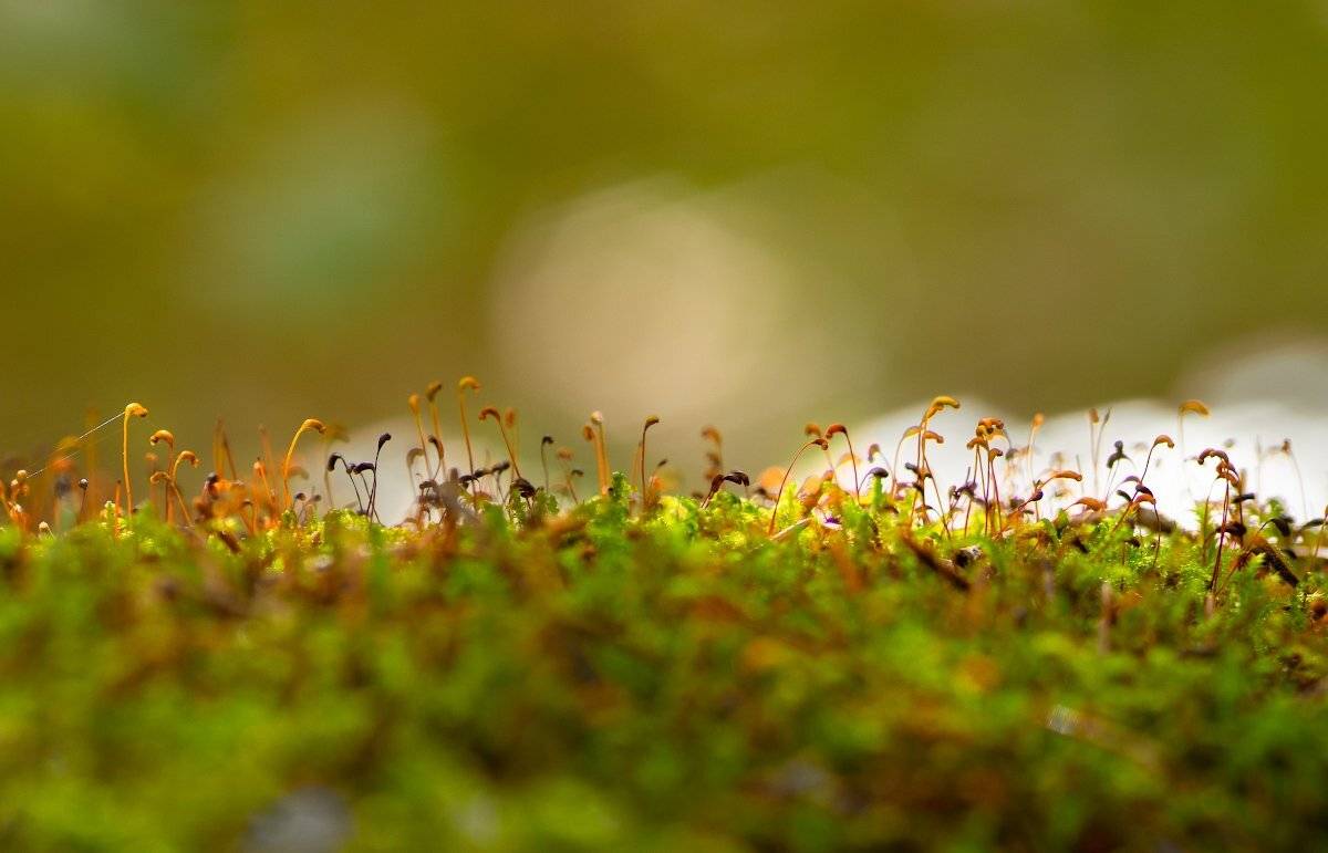 , Штабнов Юрий