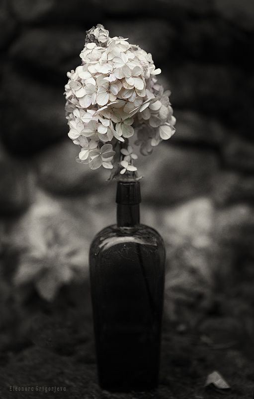 Уходило лето... фото превью