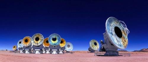 The Big Brother