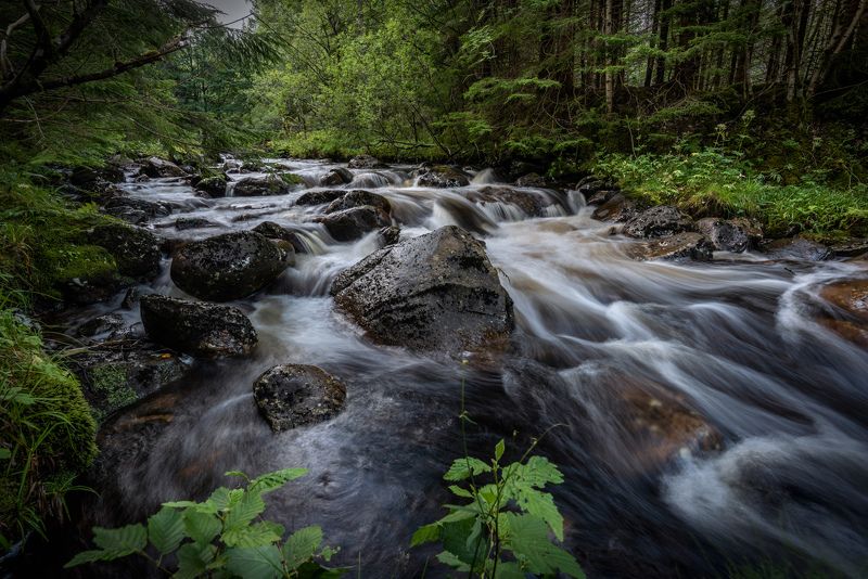 nisi filters, long exposure, landscape, nature, green, forest, river, water, nikon The River фото превью