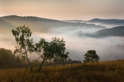 Туманное утро.