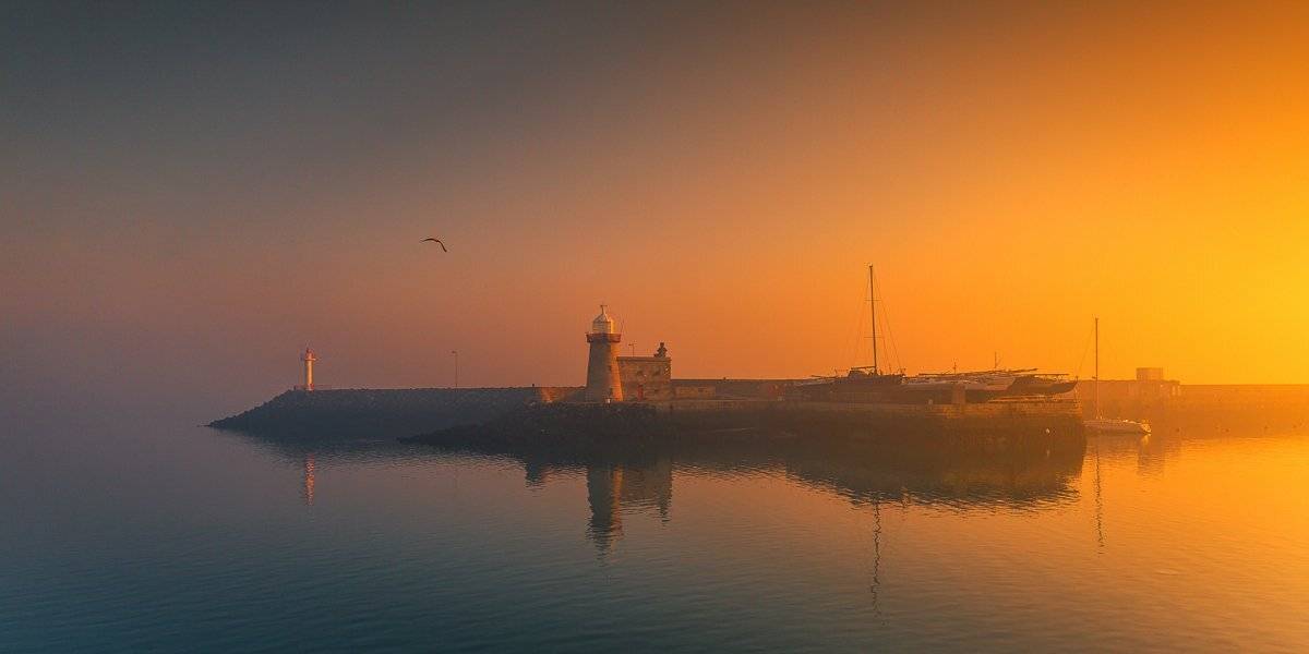, Marek Biegalski