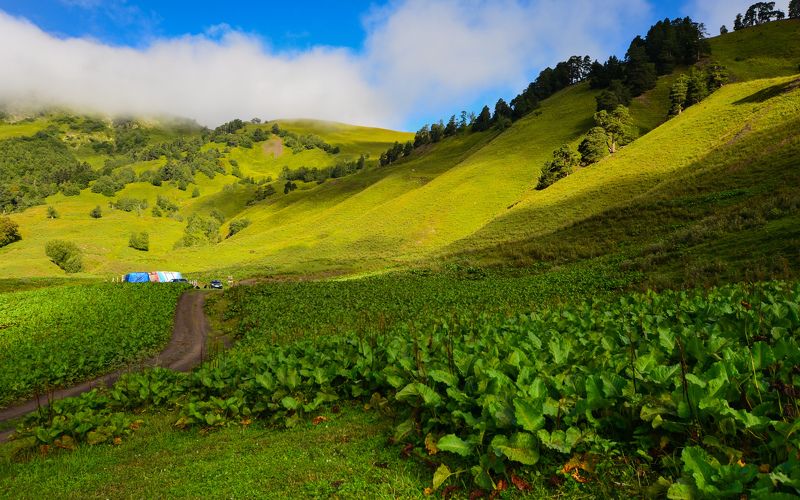 горы, свет, архыз Склоны Архыза фото превью