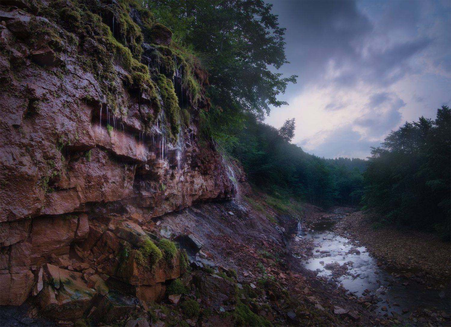 , Дмитрий Воронцов