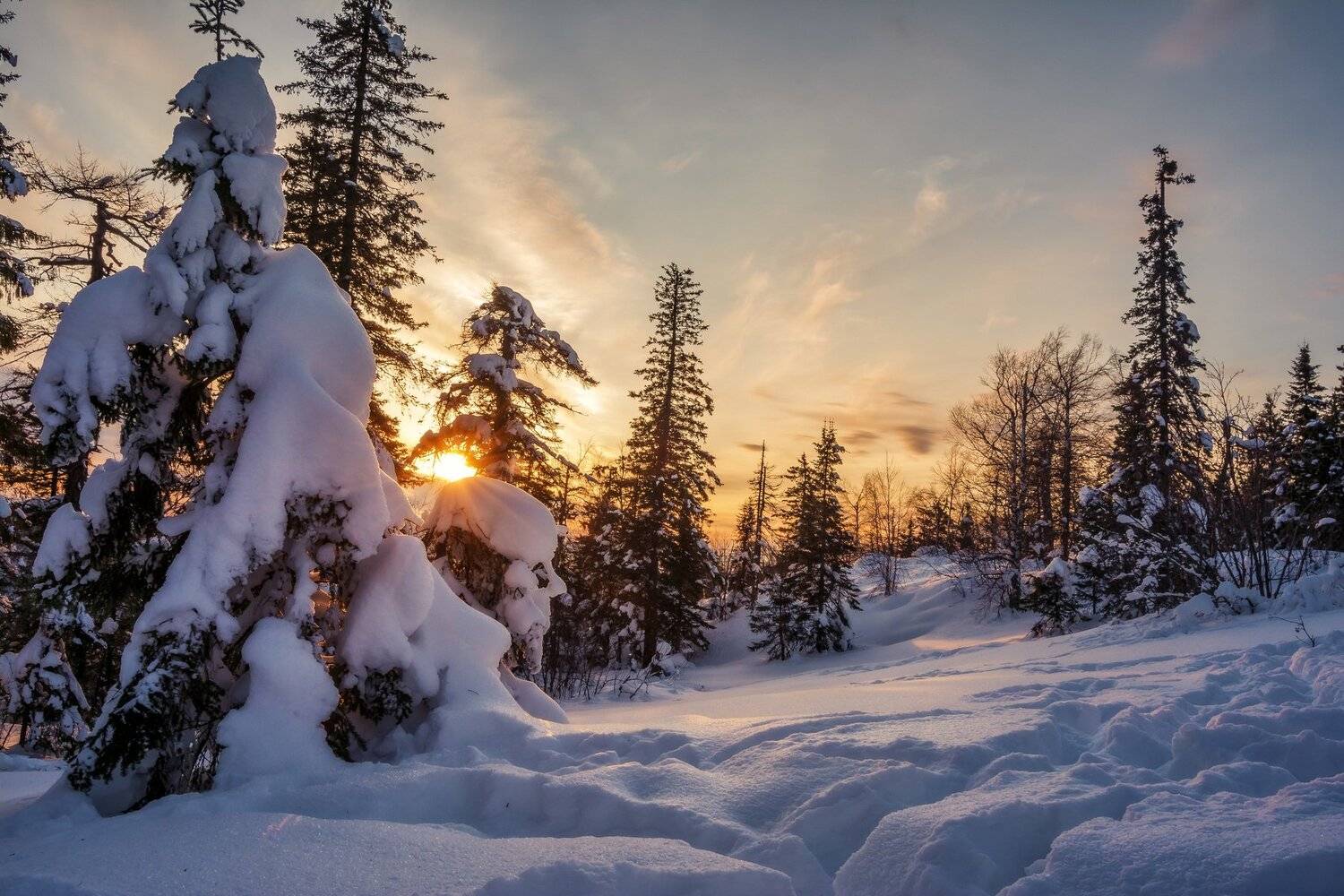 , Андрей Шарапов