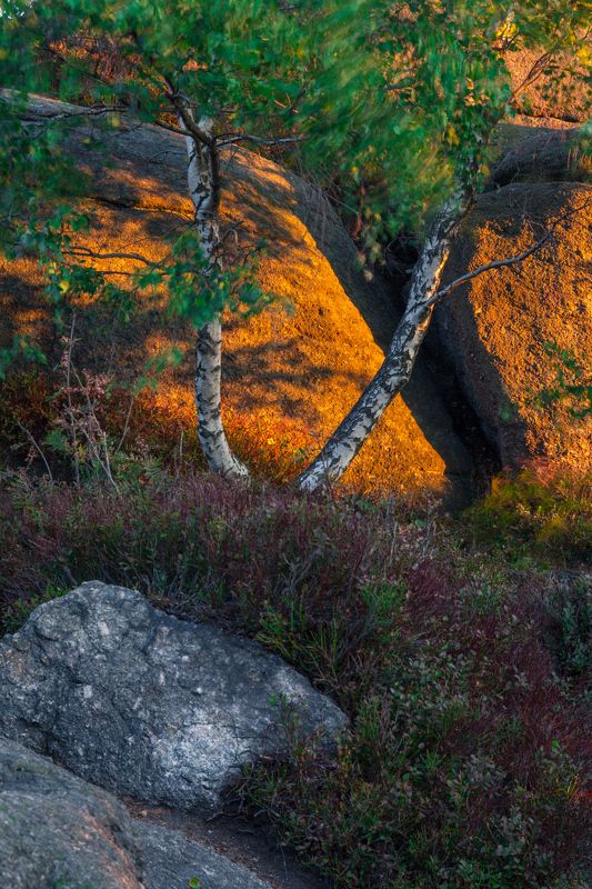 My Portfolio фото превью