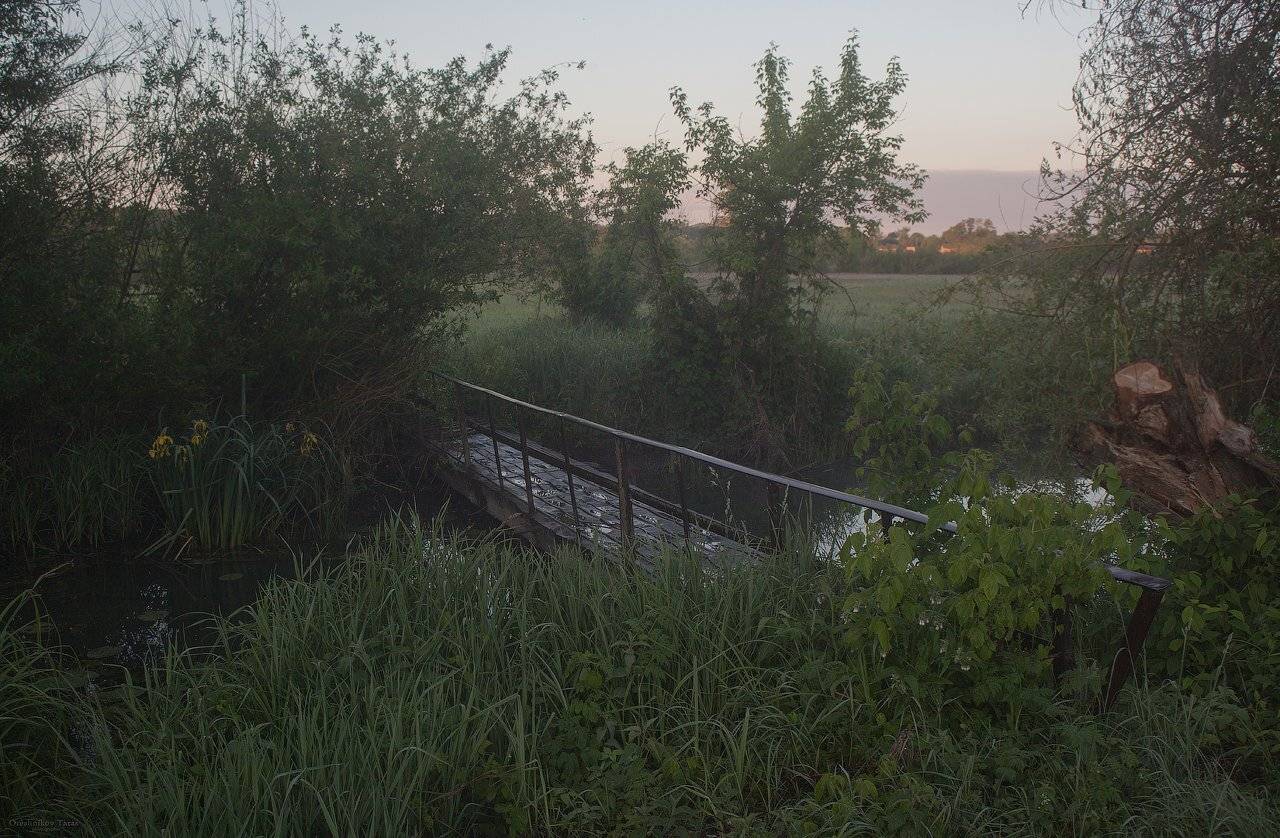 пейзаж,природа,рассвет,утро,весна,мост,река, Taras