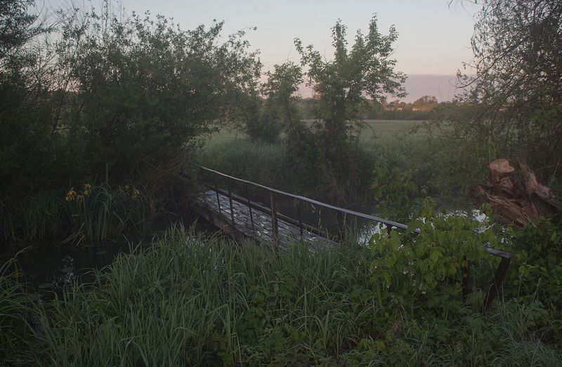 пейзаж,природа,рассвет,утро,весна,мост,река ... фото превью