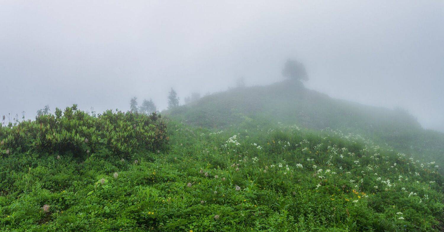 , Игорь Мелекесцев