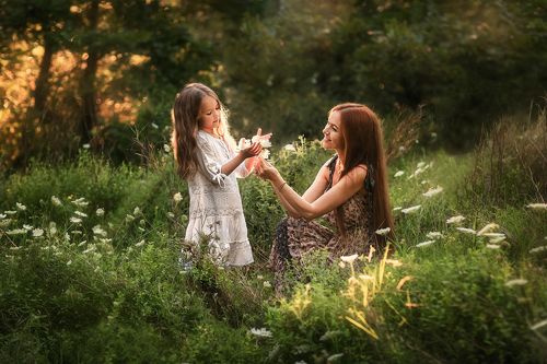 Волшебный лес