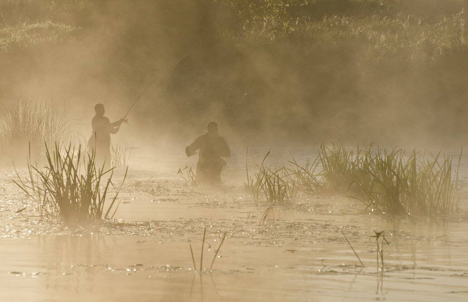 утро, рассвет, туман, рыбаки, спиннингисты, Михаил Агеев